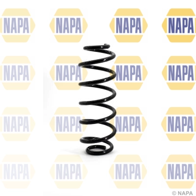 Suspension Spring (NCS1137)