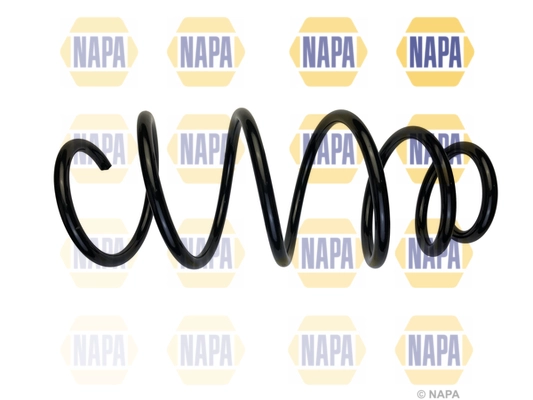 Suspension Spring (NCS1887)