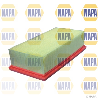 Air Filter (NFA1247)