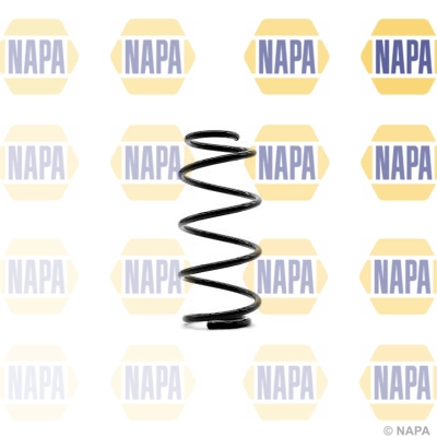 Suspension Spring (NCS1333)