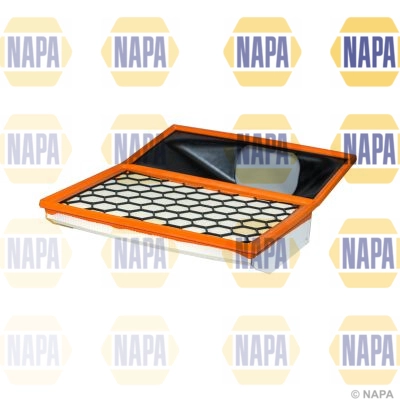 Air Filter (NFA1529)