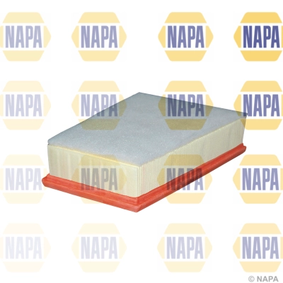Air Filter (NFA1162)