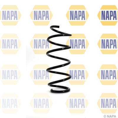 Suspension Spring (NCS1096)