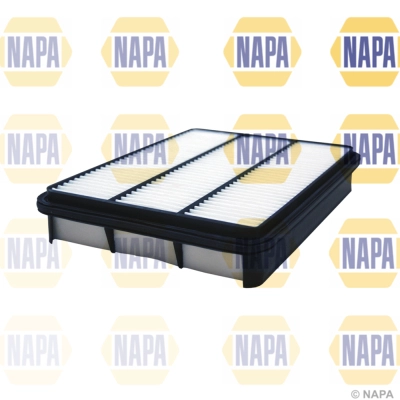 Air Filter (NFA1321)