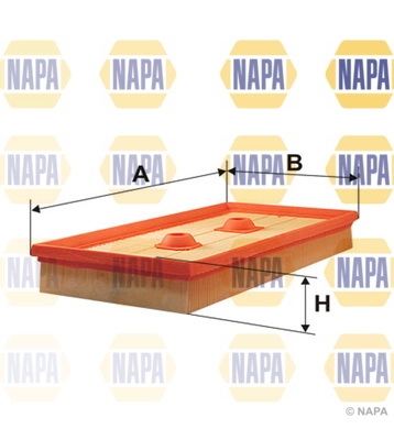 Air Filter (NFA1110)