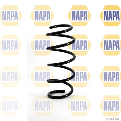 Suspension Spring (NCS1094)