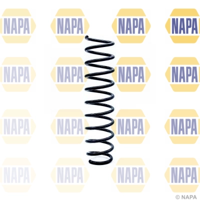 Suspension Spring (NCS1279)