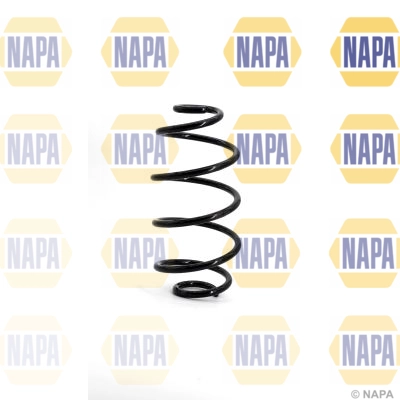 Suspension Spring (NCS1147)