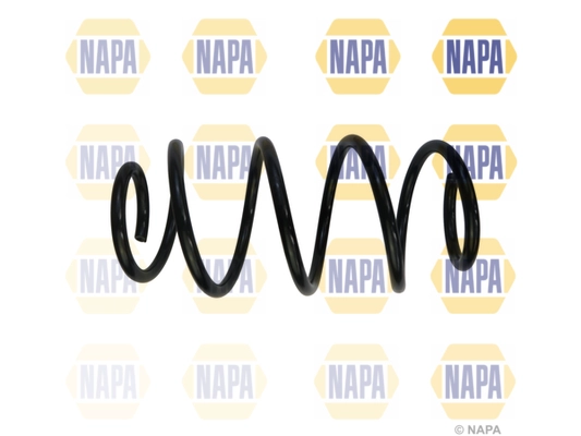 Suspension Spring (NCS1891)