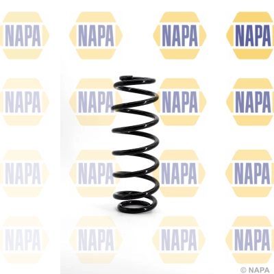 Suspension Spring (NCS1127)