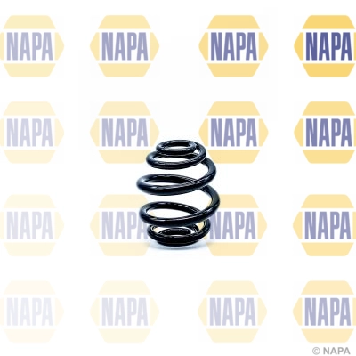 Suspension Spring (NCS1296)