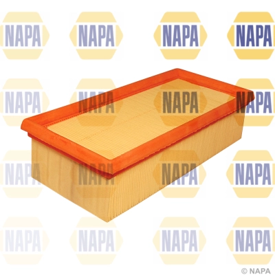 Air Filter (NFA1138)