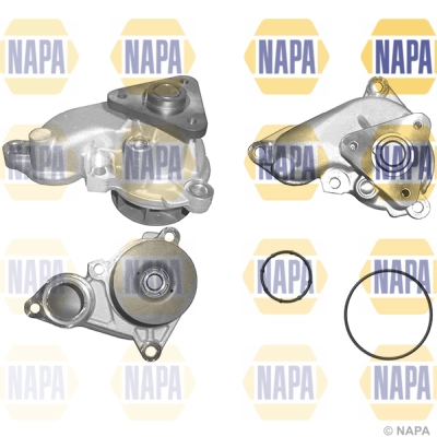 Water Pump, engine cooling (NWP1261)