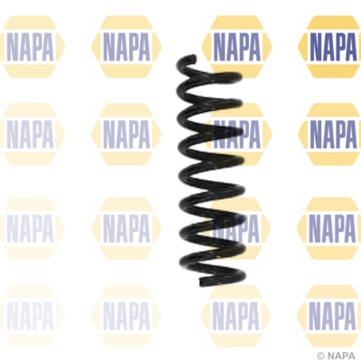 Suspension Spring (NCS1646)