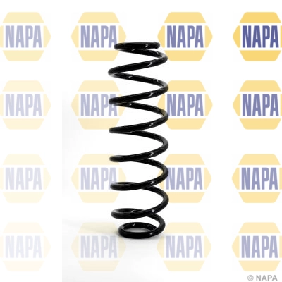Suspension Spring (NCS1140)