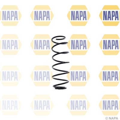 Suspension Spring (NCS1365)