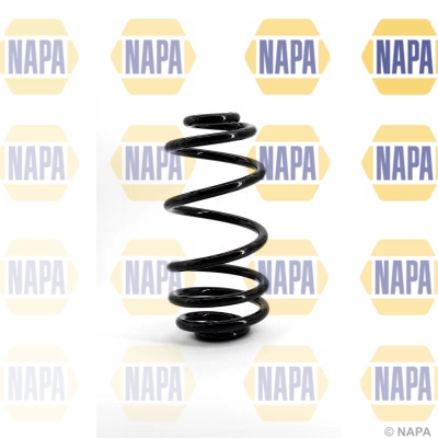 Suspension Spring (NCS1036)