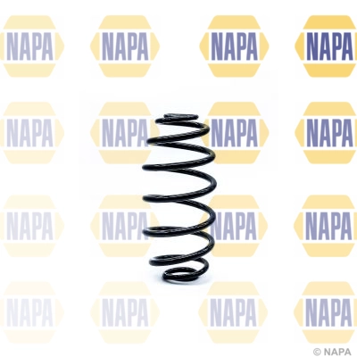 Suspension Spring (NCS1202)