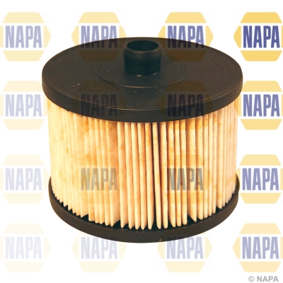Fuel Filter (NFF2049)
