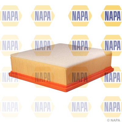 Air Filter (NFA1090)