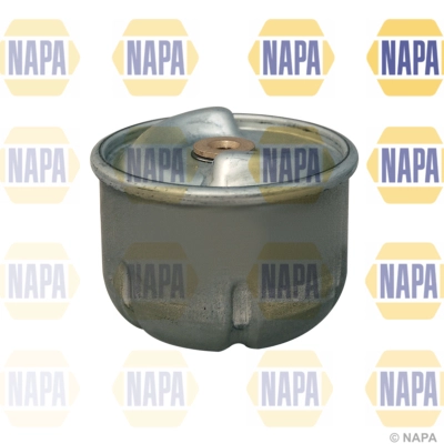 Oil Filter (NFO3105)