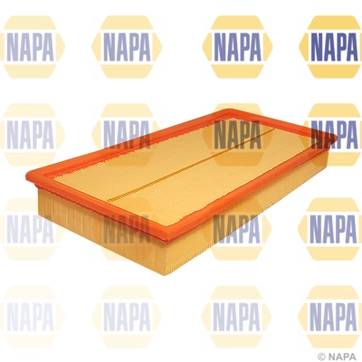 Air Filter (NFA1011)
