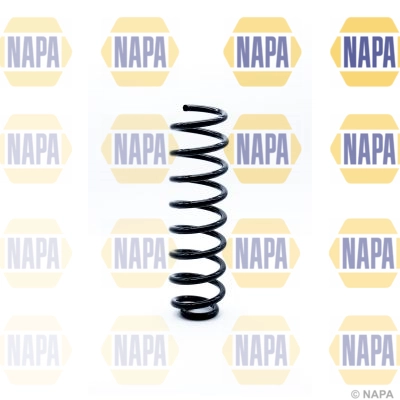Suspension Spring (NCS1263)