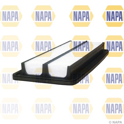 Air Filter (NFA1212)