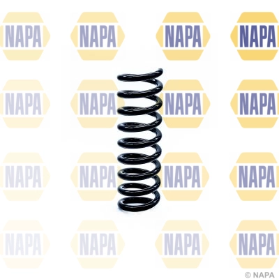 Suspension Spring (NCS1218)