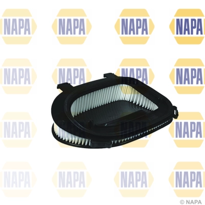 Air Filter (NFA1319)