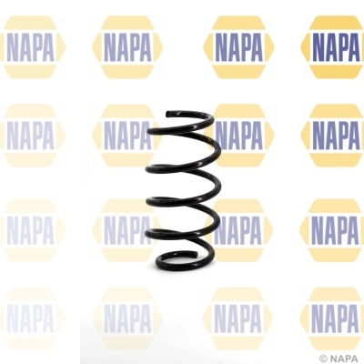 Suspension Spring (NCS1101)