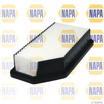 Air Filter (NFA1238)