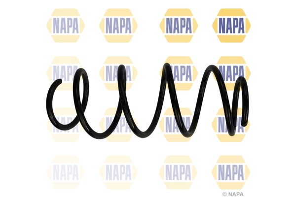 Suspension Spring (NCS1883)