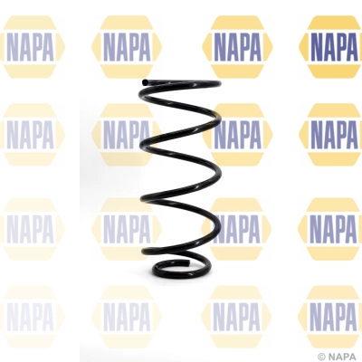 Suspension Spring (NCS1046)