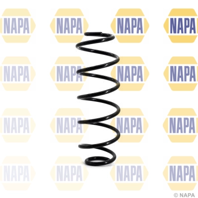 Suspension Spring (NCS1124)
