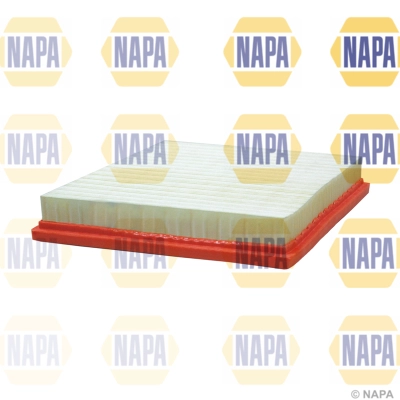 Air Filter (NFA1181)