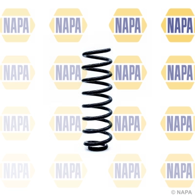 Suspension Spring (NCS1260)