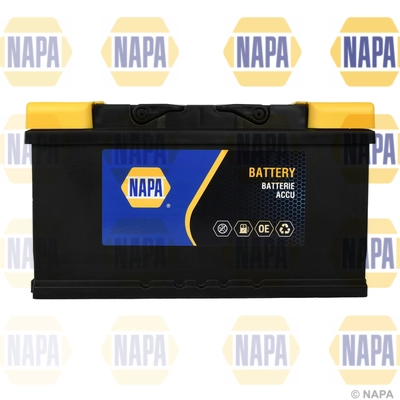 Starter Battery (110N)