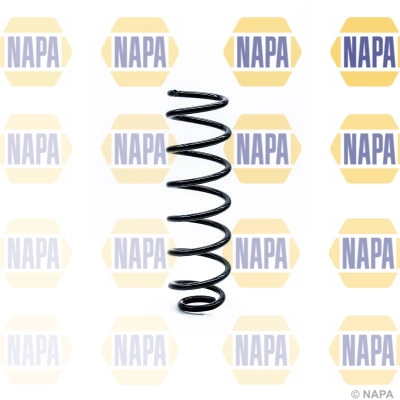 Suspension Spring (NCS1253)