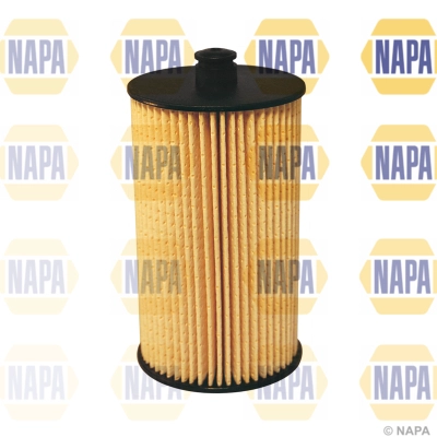 Fuel Filter (NFF2069)