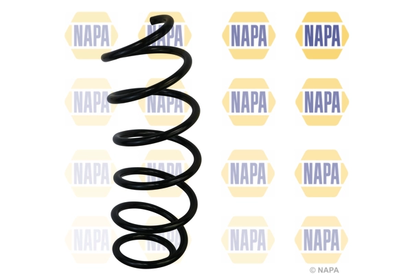 Suspension Spring (NCS1681)