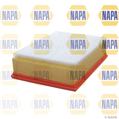 Air Filter (NFA1209)