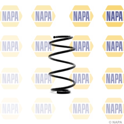 Suspension Spring (NCS1319)