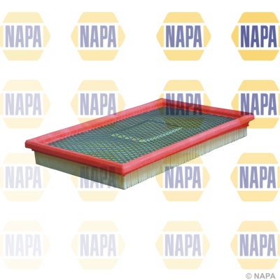 Air Filter (NFA1145)