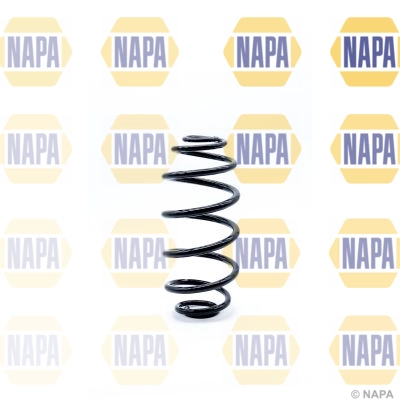 Suspension Spring (NCS1261)