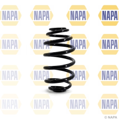 Suspension Spring (NCS1144)