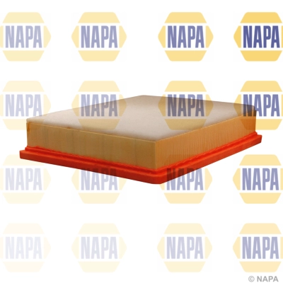 Air Filter (NFA1124)