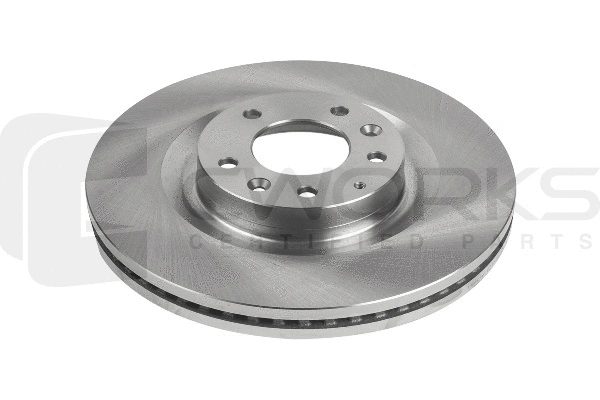 Brake Disc (C210G0065)