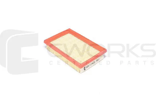 Air Filter (B13MR0096)