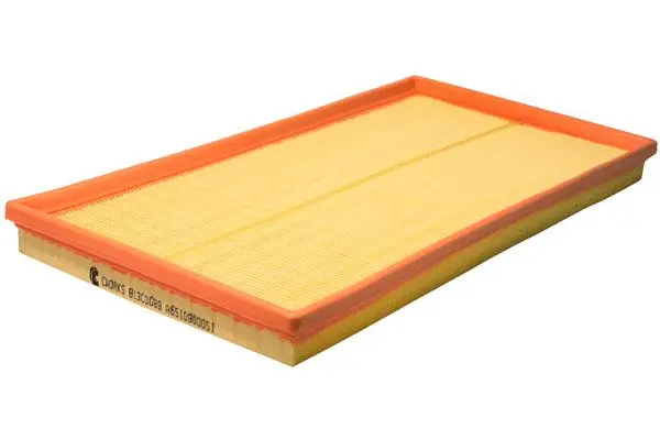 Air Filter (B13CR0089)